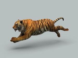tiger 3D 모델