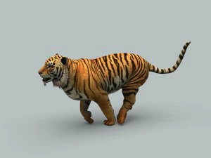 kaplan 3D Model