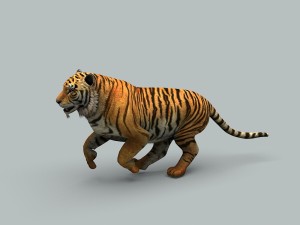 tiger 3D 모델