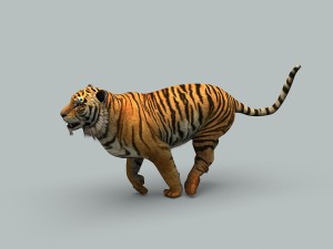 tiger 3D 모델