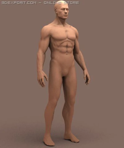 male body 3D Model .c4d .max .obj .3ds .fbx .stl .blend 