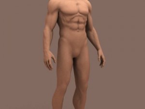 male body Modelo 3D