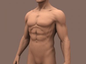 male body 3D 模型
