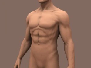 male body 3D Model