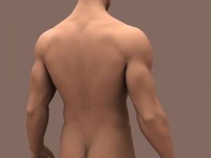 male body 3D 模型