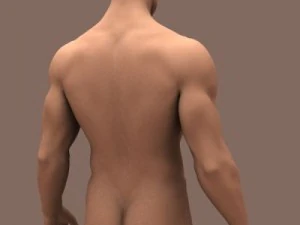 male body 3D Model