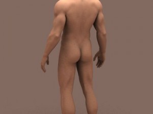 male body 3D 模型