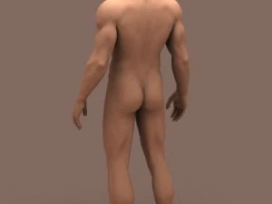 male body 3D Model