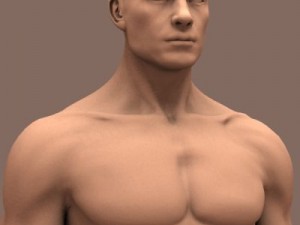 male body 3D 模型