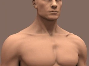 male body 3D Model