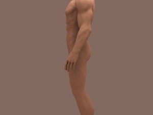 male body 3D 模型