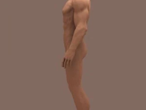 male body 3D Model