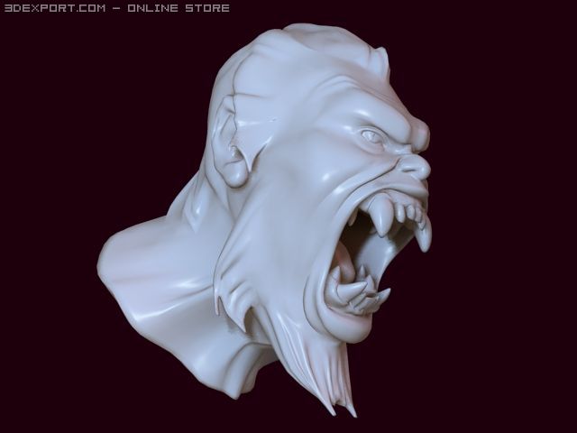 head 3D Modell .c4d .max .obj .3ds .fbx .stl .blend