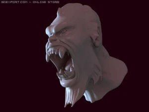 head 3D Model