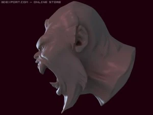 head 3D Model