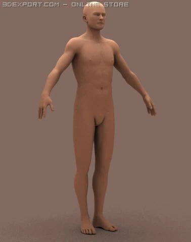 male body 01 3D Model .c4d .max .obj .3ds .fbx .stl .blend