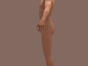 male body 01 3D Model
