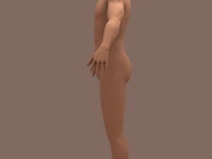 male body 01 3D Model