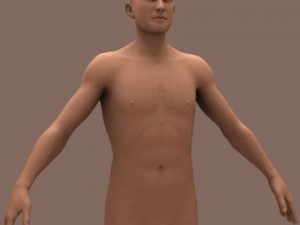 male body 01 3D Model
