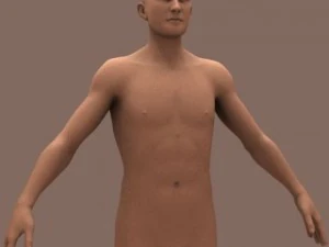 male body 01 3D Model