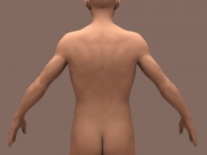male body 01 3D Model