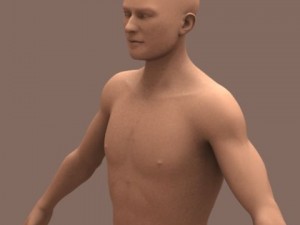 male body 01 3D Model