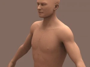male body 01 3D Model