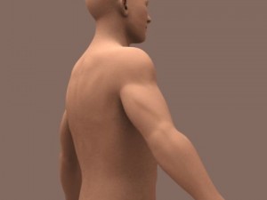 male body 01 3D Model
