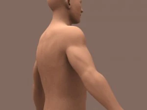male body 01 3D Model