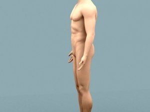 male body 02 3D Model