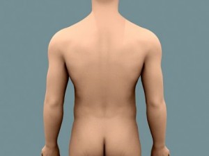 male body 02 3D Model