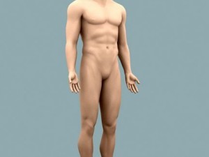 male body 02 3D Model