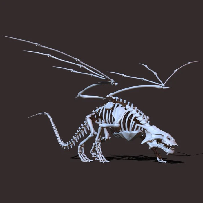 dragon skeleton 3D Model .c4d .max .obj .3ds .fbx .stl .blend 