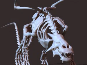 dragon skeleton 3D Model