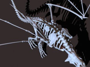 dragon skeleton 3D Model
