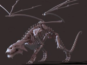 dragon skeleton 3D Model