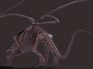 dragon skeleton 3D Model