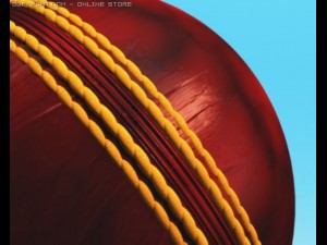 cricket ball 3D Model