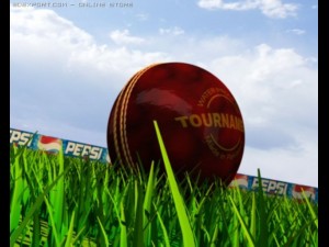 cricket ball 3D Model