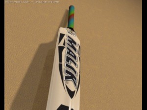 cricket bat 3D मॉडल