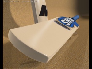 cricket bat 3D मॉडल