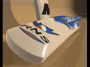 cricket bat 3D मॉडल