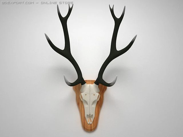 chifres afiados Modelo 3D .c4d .max .obj .3ds .fbx .stl .blend 