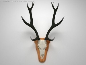 stang horns Model 3D