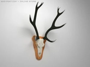 chifres afiados Modelo 3D