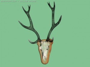 stang horns Modelo 3D