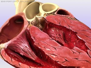 heart cross 3D-Modell