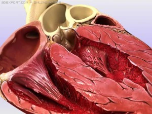 cruz de coração Modelo 3D