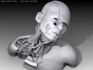 neck nerves 3D-Modell