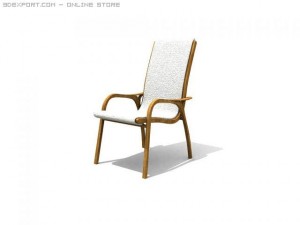 fine3dvol03 Modelo 3D
